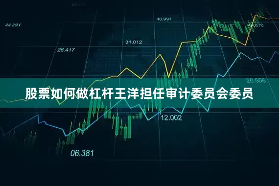 股票如何做杠杆王洋担任审计委员会委员