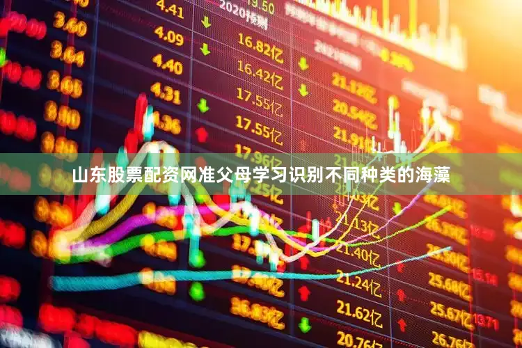 山东股票配资网准父母学习识别不同种类的海藻