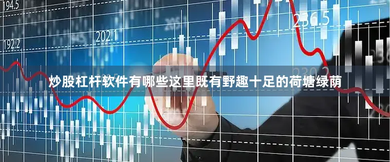 炒股杠杆软件有哪些这里既有野趣十足的荷塘绿荫