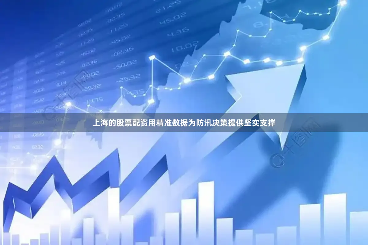 上海的股票配资用精准数据为防汛决策提供坚实支撑